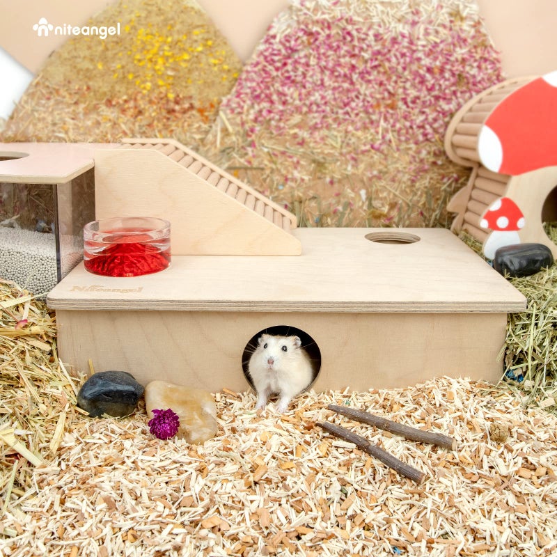 Niteangel Multi-Chamber Hamster House Maze: - Multi-Room Hideouts & Tunnel Exploring Toys for Hamster Gerbils Mice Lemmings (6-Room Small) - Image 5